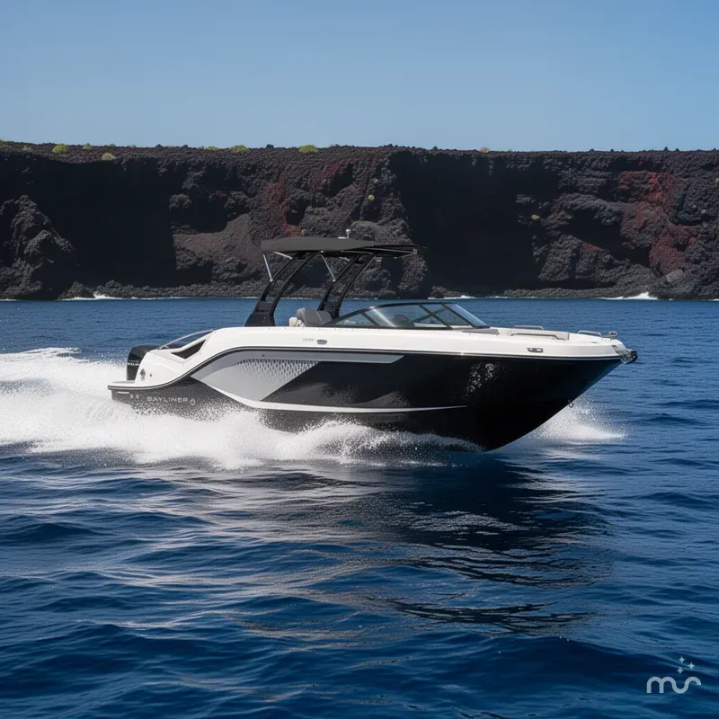 Slide: The Image of Bayliner D22I 2025 - 4