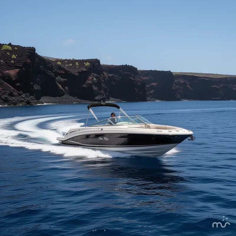 Slide: The Image of Sea Ray 240 Sundeck 2008 - 1