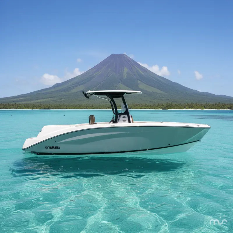 Slide: The Image of Yamaha 255 FSH Sport H 2026 - 2