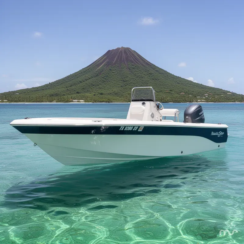 The Image of NauticStar 2200 2010 - 0