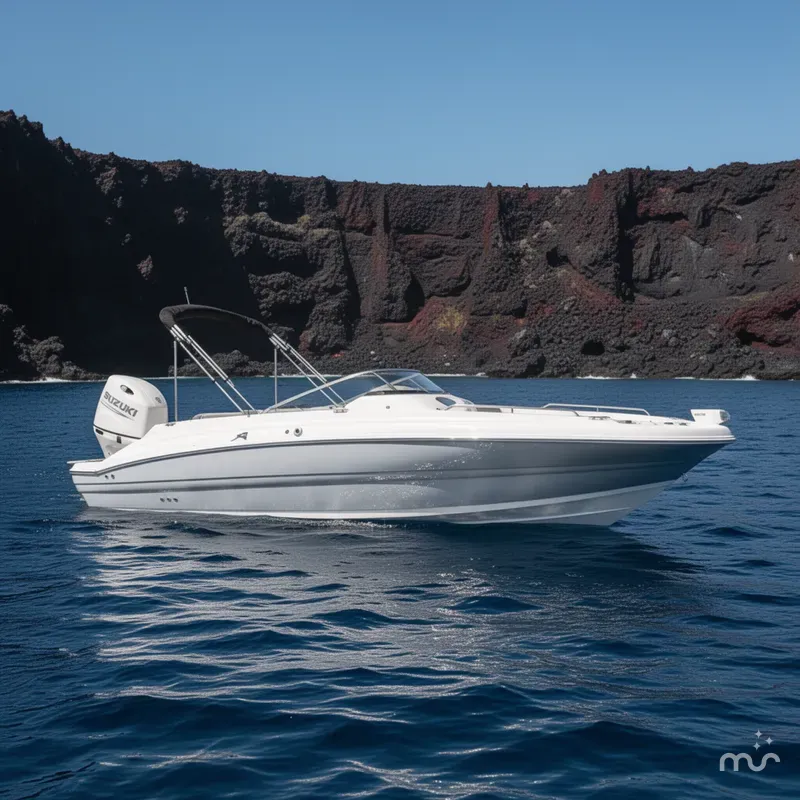 The Image of Stingray 212 SC 2026 - 0