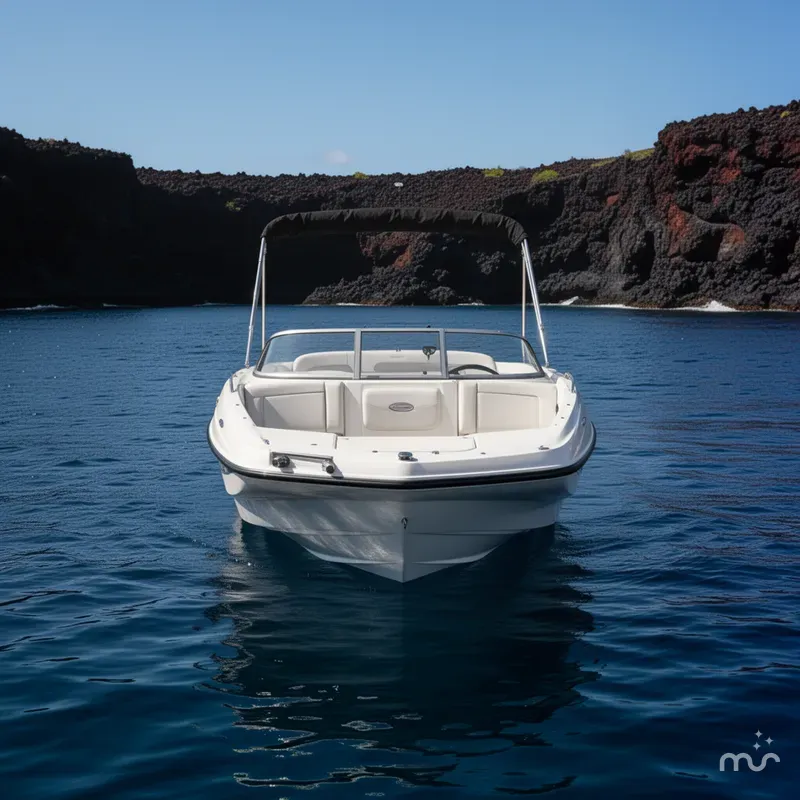 Slide: The Image of Bayliner 197 2011 - 3
