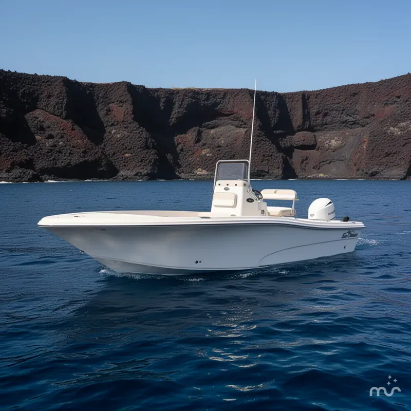 Slide: The Image of Sea Chaser 21 Sea Skiff 2022 - 2