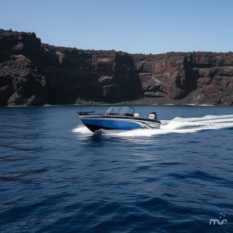 Slide: The Image of Nitro ZV19 Sport Pro 2026 - 4