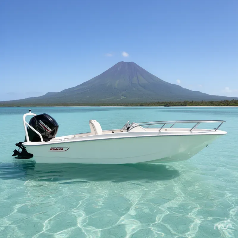 Slide: The Image of Boston Whaler 160 Super Sport 2025 - 2