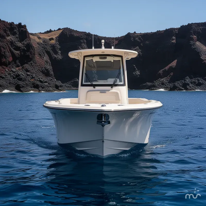 Slide: The Image of Grady-White Fisherman 236 2025 - 1