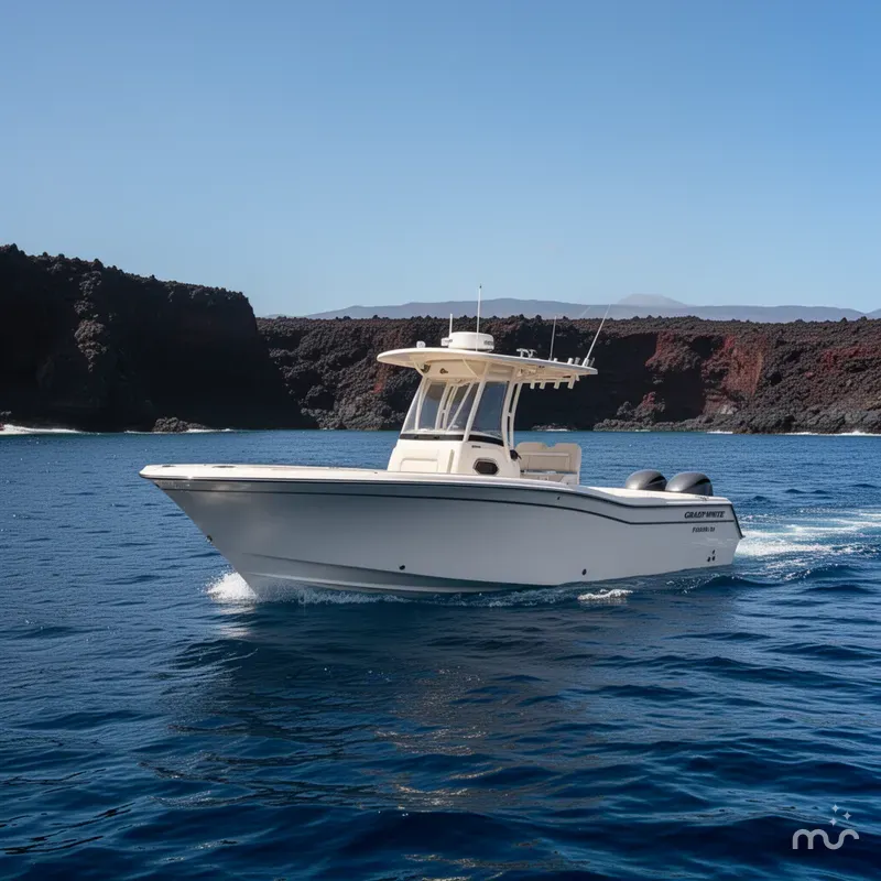 Slide: The Image of Grady-White Fisherman 236 2025 - 4