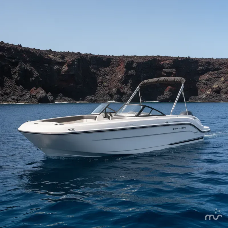 The Image of Bayliner DX 2200 2023 - 0