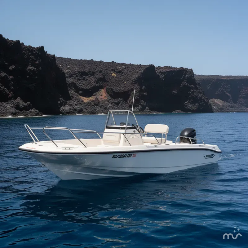 Slide: The Image of Boston Whaler 180 Dauntless 2021 - 2
