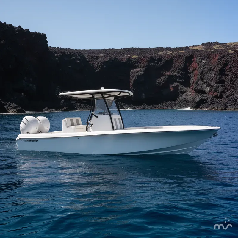 Slide: The Image of Contender 29 Bay 2026 - 2