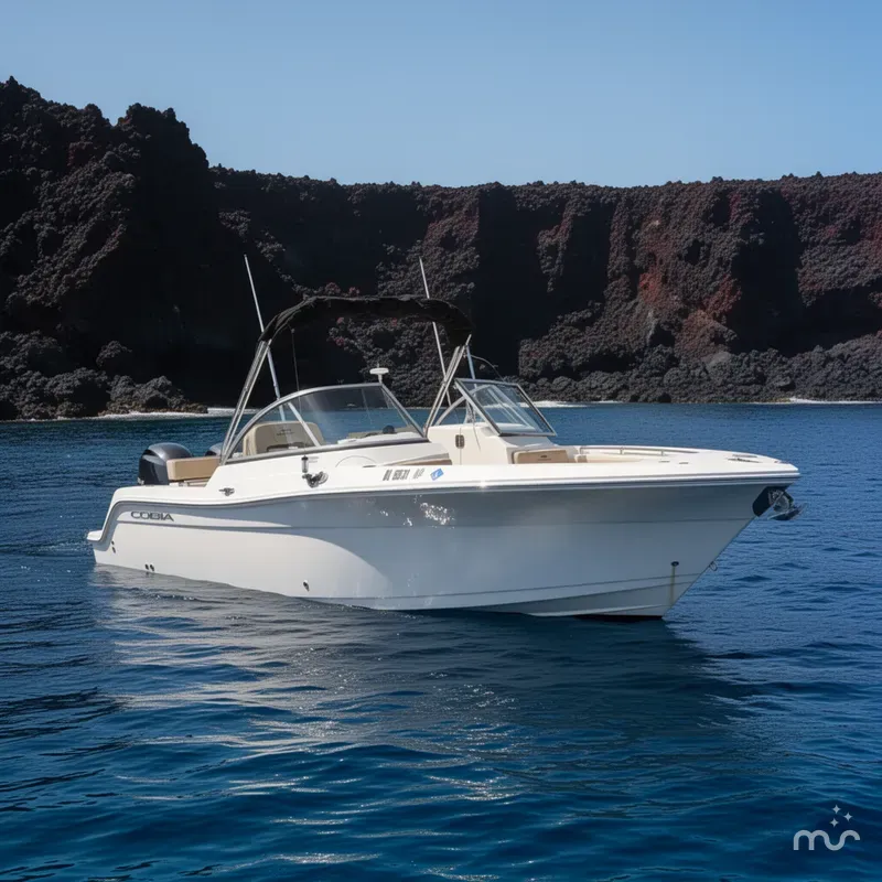 The Image of Cobia 220 Dual Console 2024 - 0