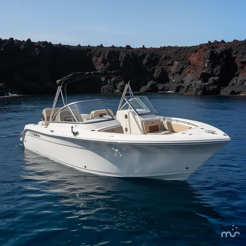 Slide: The Image of Cobia 220 Dual Console 2024 - 2