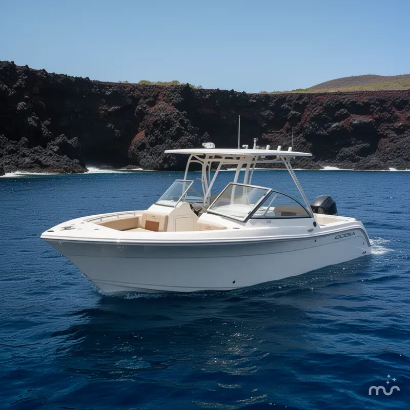 Slide: The Image of Cobia 220 Dual Console 2024 - 2