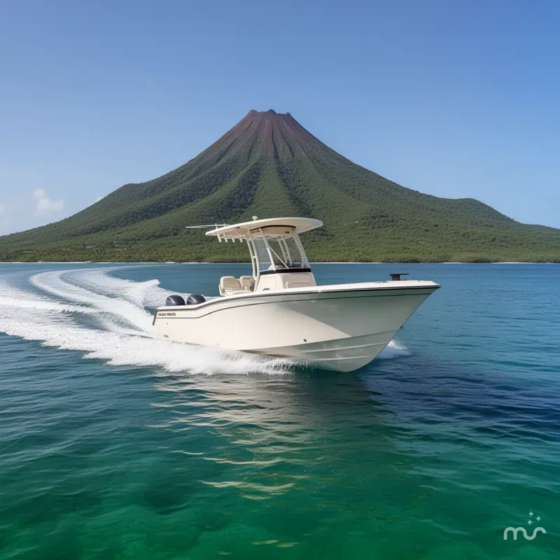 Slide: The Image of Grady-White Fisherman 236 2025 - 4