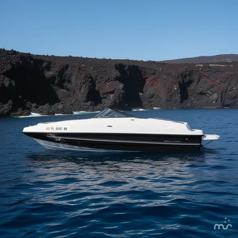 The Image of Bayliner 190 Deck Boat 2017 - 0