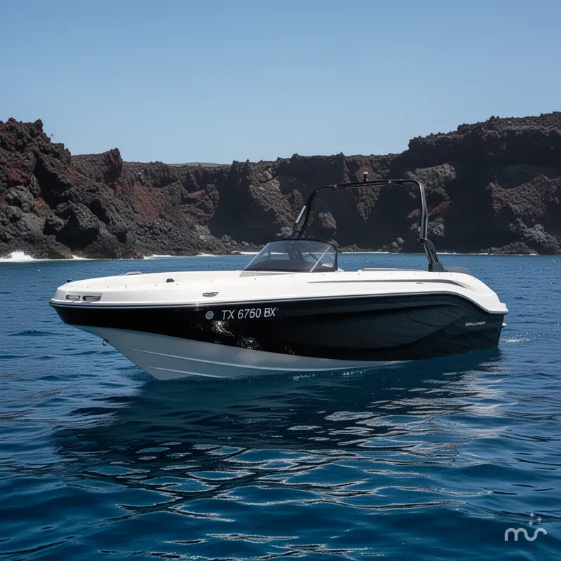The Image of Bayliner DX 2050 2020 - 0