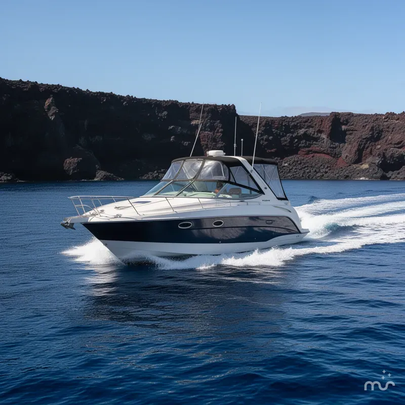The Image of Bayliner 300 Ciera 2008 - 0