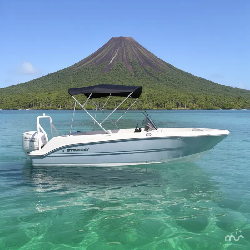 Slide: The Image of Stingray 172 DC 2025 - 2