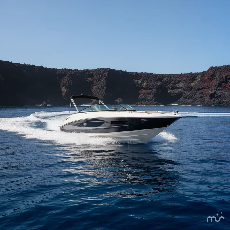 Slide: The Image of Sea Ray SDX 220 2017 - 2