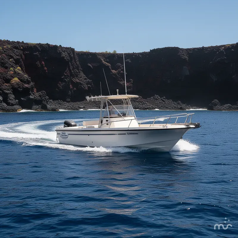 Slide: The Image of Boston Whaler N/A 1988 - 2