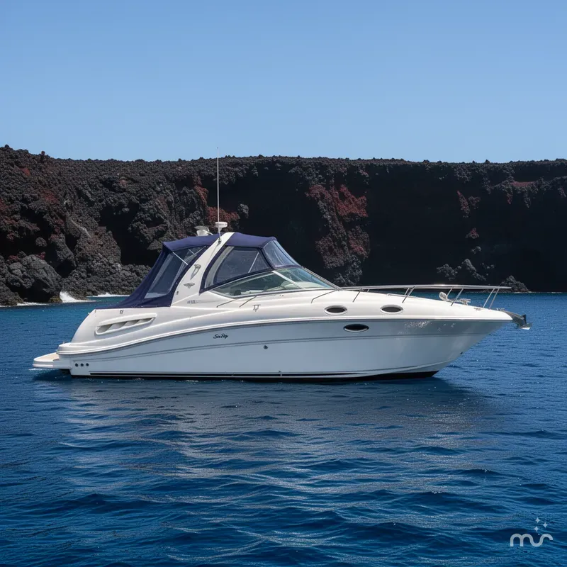 Slide: The Image of Sea Ray Sundancer 260 2006 - 2