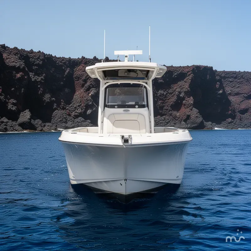 Slide: The Image of Wellcraft 222 Fisherman 2020 - 3
