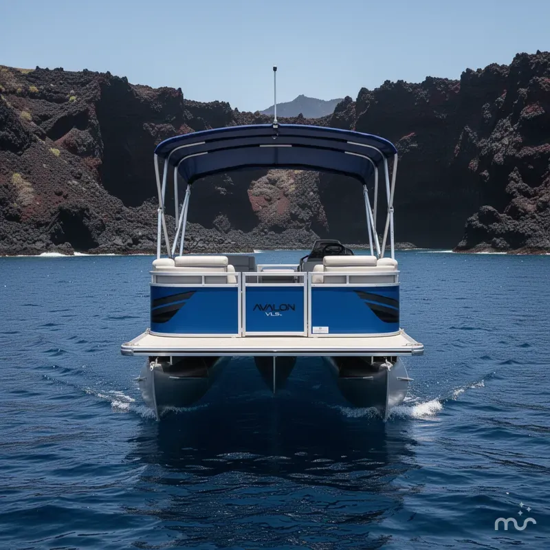 Slide: The Image of Avalon VLS QL 2026 - 1