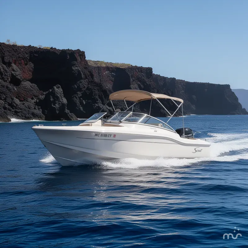 Slide: The Image of Scout 210 Dorado 2022 - 4