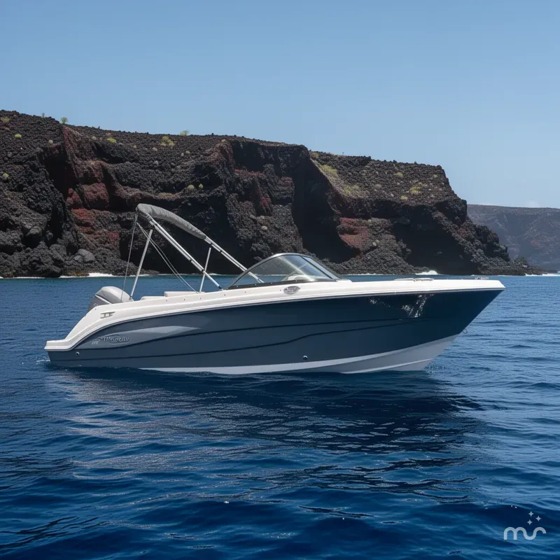 The Image of Stingray 172 DC 2026 - 0