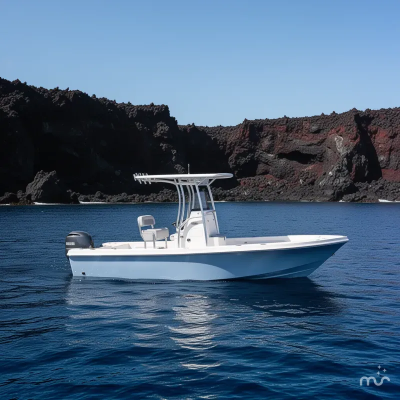 Slide: The Image of Bay Rider 219 Bay 2026 - 2