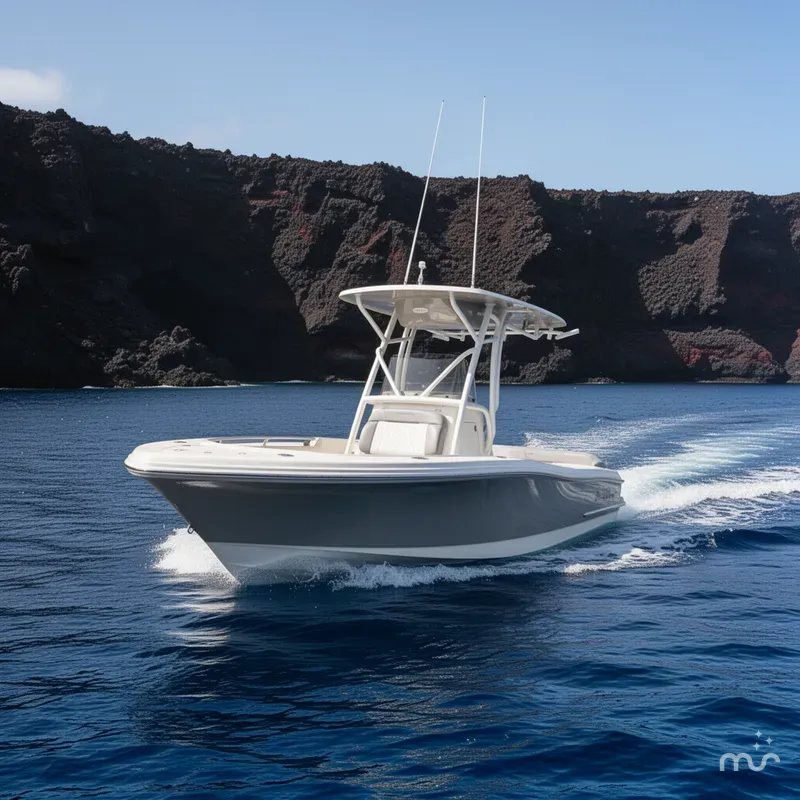 Slide: The Image of Pioneer 202 Islander 2026 - 4