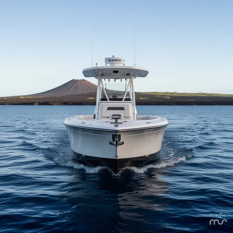 Slide: The Image of Blackfin 242 CC 2019 - 3