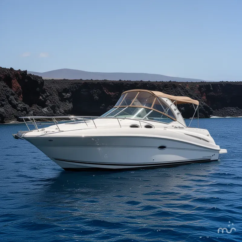 Slide: The Image of Sea Ray 240 Sundancer 2008 - 2