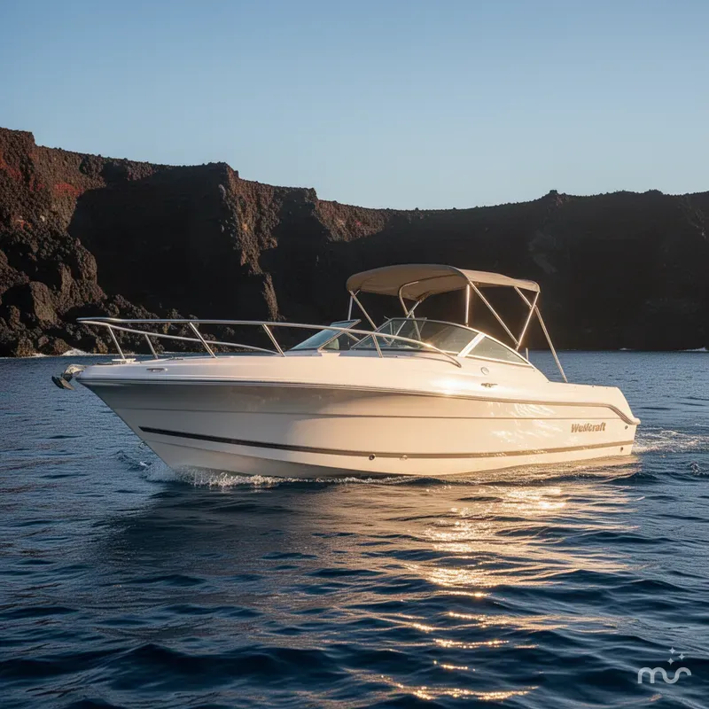 The Image of Wellcraft 22 Sportsman DC 2007 - 0