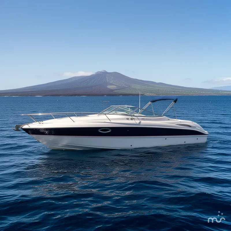 Slide: The Image of Stingray 250 CR 2006 - 2