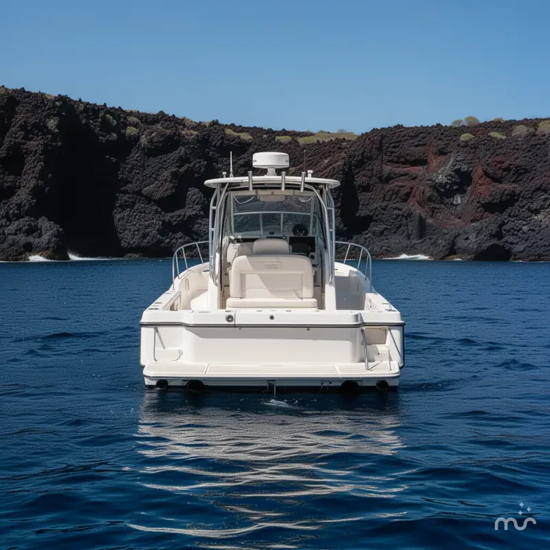 Slide: The Image of Boston Whaler 285 Conquest 2006 - 3