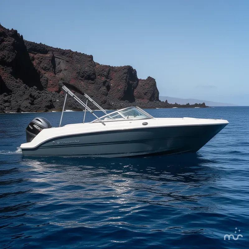 The Image of Stingray 172 DC 2026 - 0