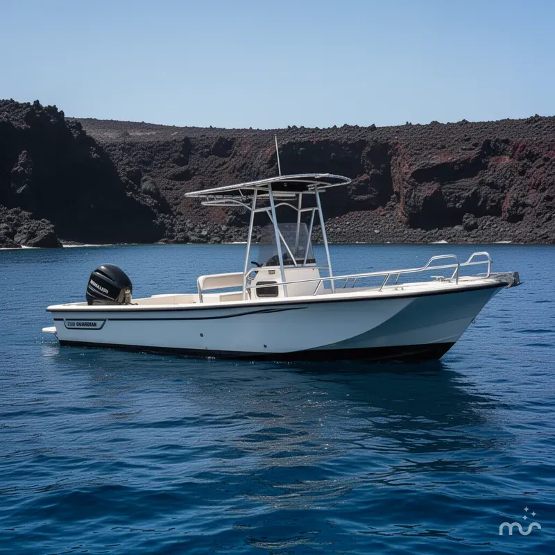 Slide: The Image of Boston Whaler Guardian 22 1990 - 2