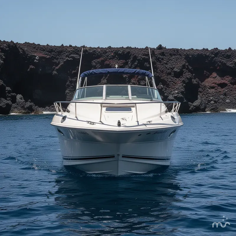 Slide: The Image of Sea Ray 240 Sundancer 2008 - 1