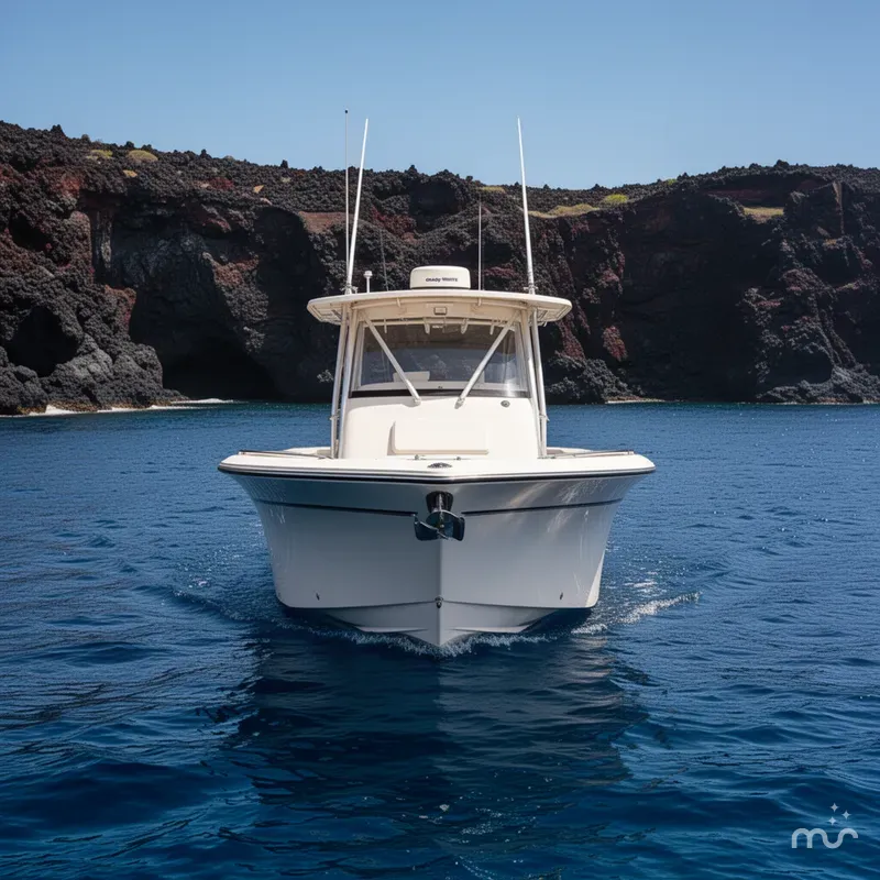 Slide: The Image of Grady-White Bimini 306 2008 - 1
