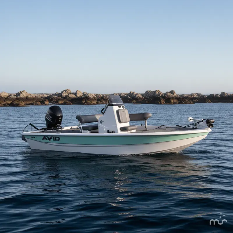 The Image of Avid 19 FSX 2024 - 0