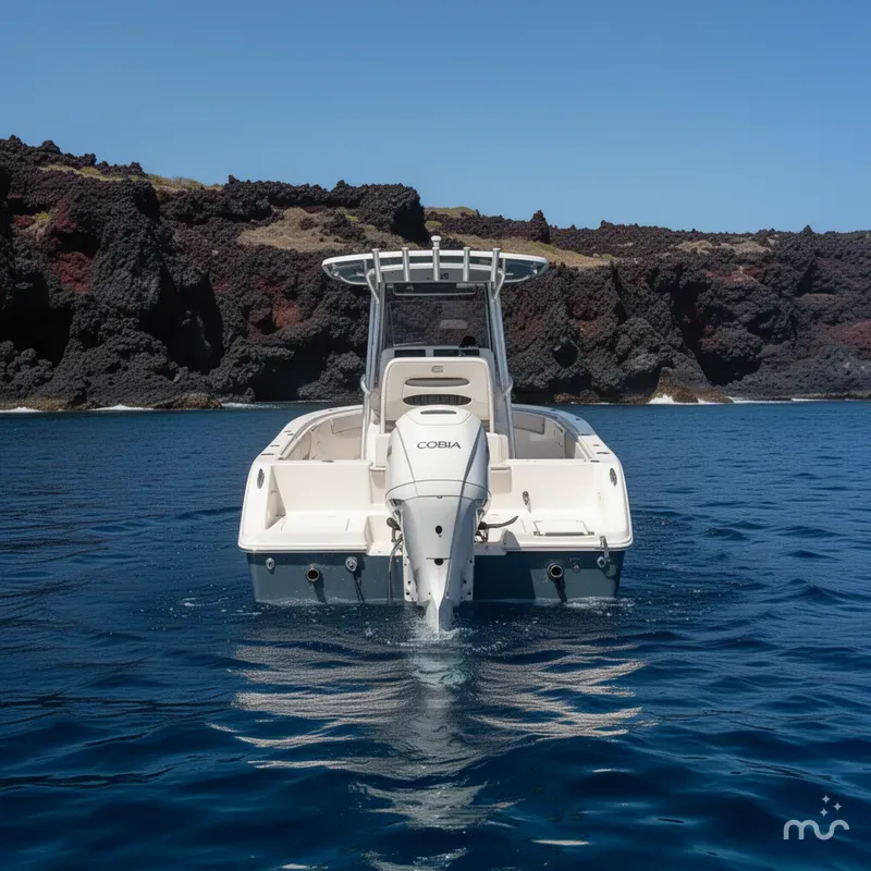 Slide: The Image of Cobia 240 Center Console 2025 - 3