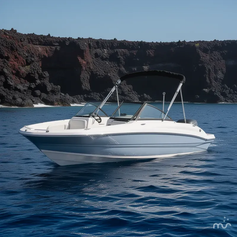 The Image of Stingray 191 DC 2025 - 0