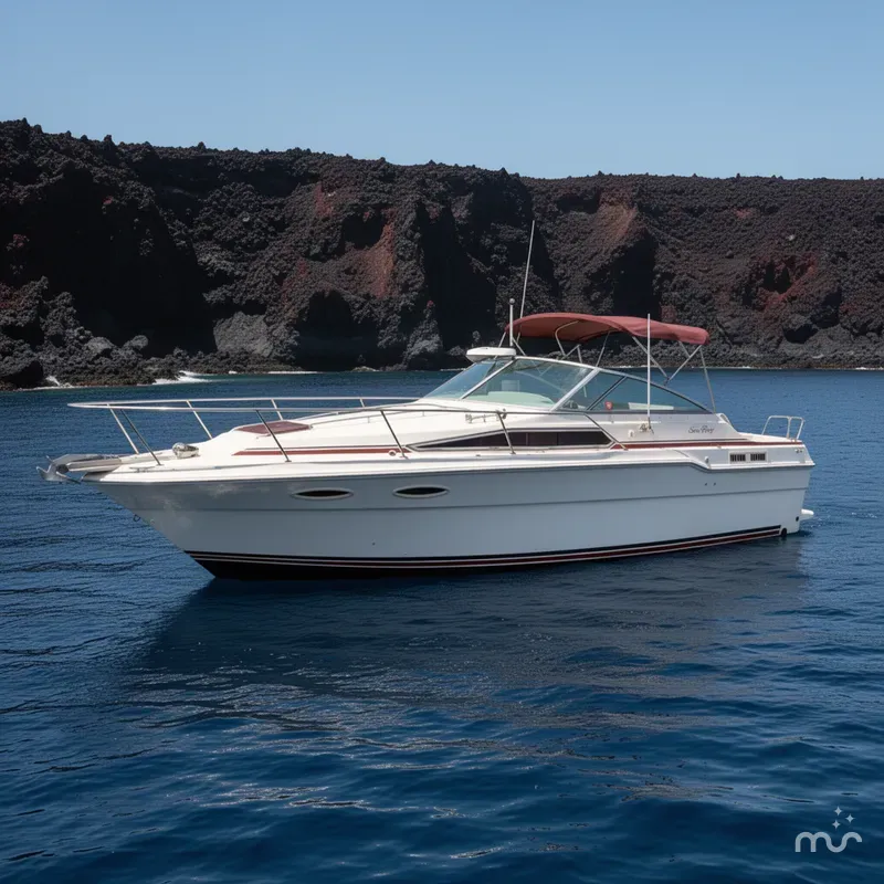 The Image of Sea Ray 300 Weekender 1987 - 0