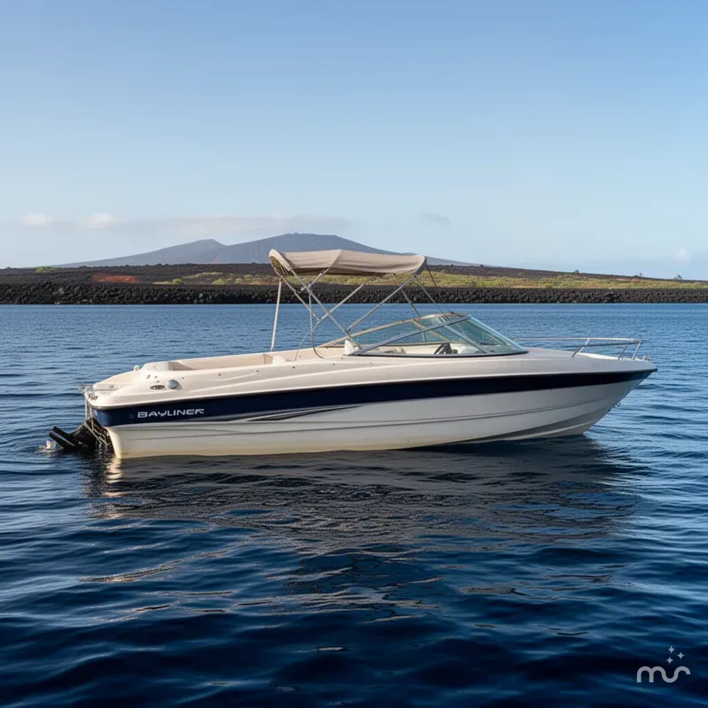 Slide: The Image of Bayliner 205 Classic 2003 - 2