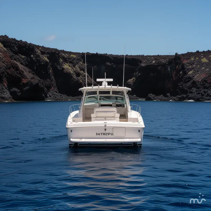 Slide: The Image of Intrepid 400 Cuddy 2015 - 3
