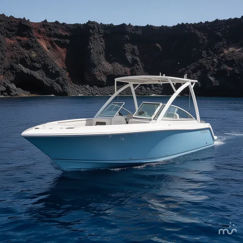The Image of Sailfish 226 DC 2024 - 0