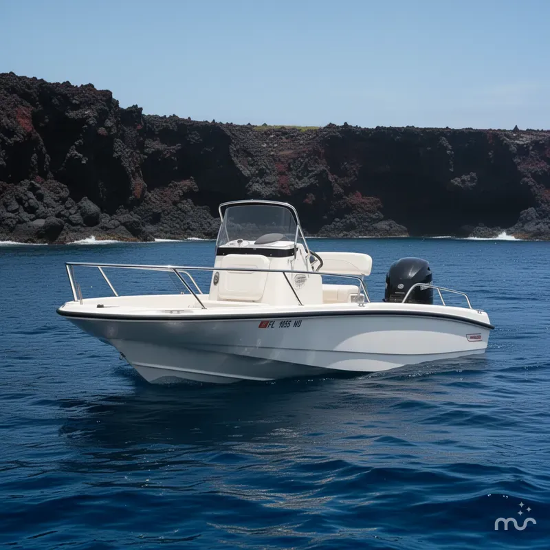 The Image of Boston Whaler 200 Dauntless 2008 - 0