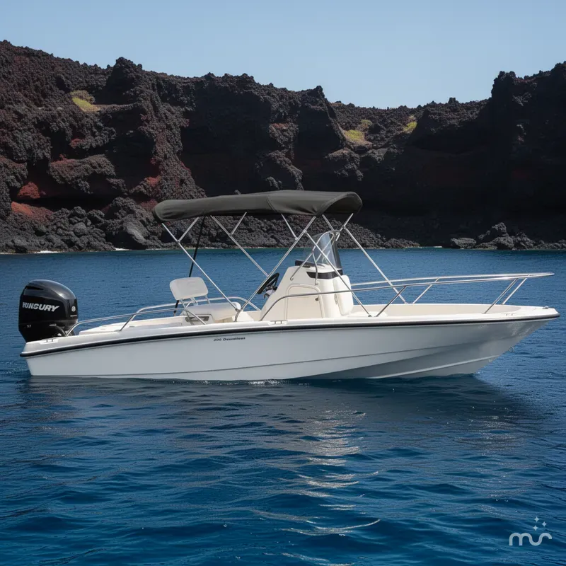 Slide: The Image of Boston Whaler 200 Dauntless 2008 - 2