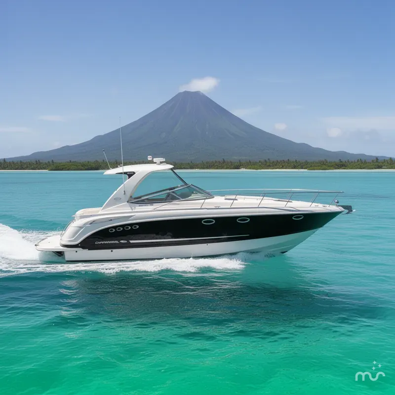 Slide: The Image of Chaparral Signature 370 2010 - 4